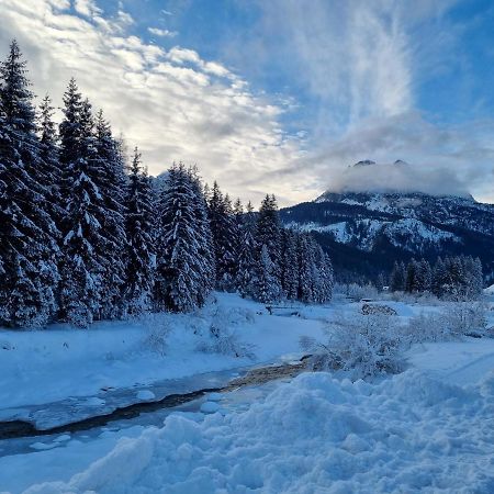 Hirsch Haus Lägenhet Santo Stefano Di Cadore Exteriör bild