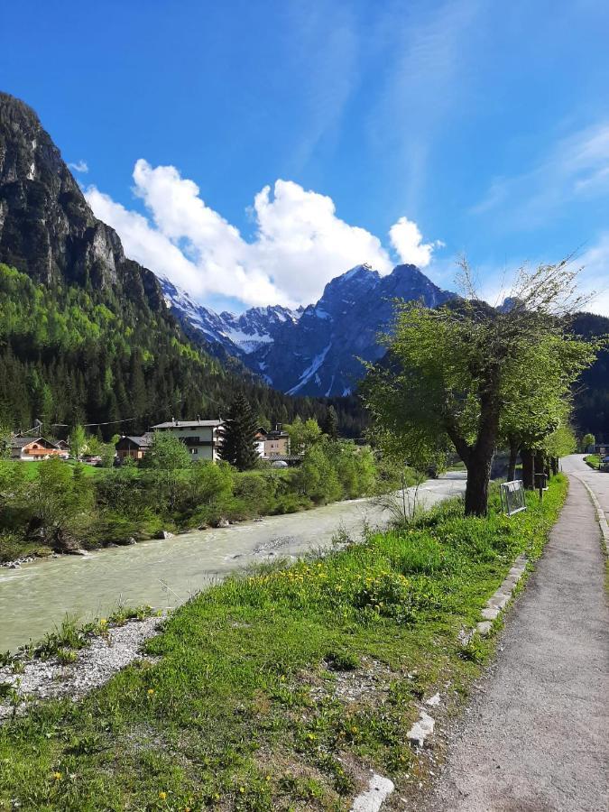 Hirsch Haus Lägenhet Santo Stefano Di Cadore Exteriör bild